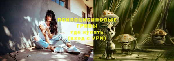 jwh Гусиноозёрск