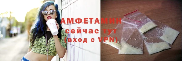 ECSTASY Гусь-Хрустальный