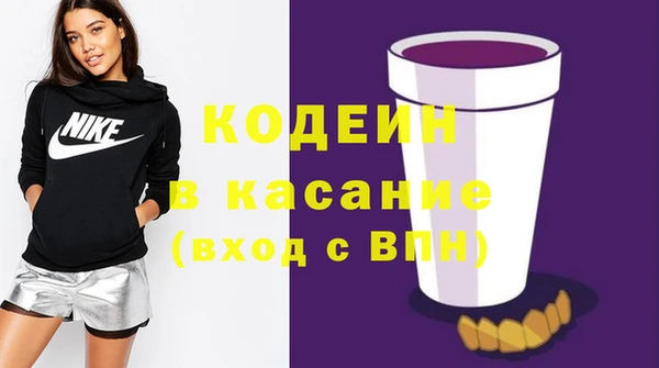 ECSTASY Гусь-Хрустальный