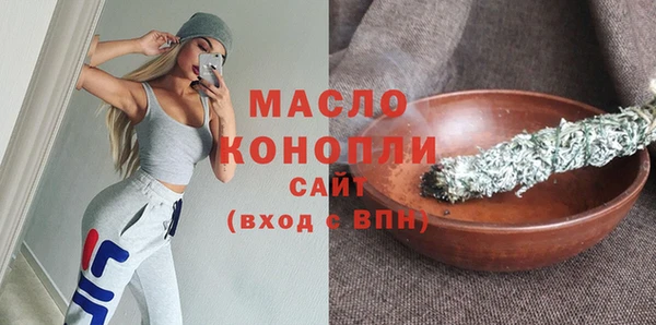 ECSTASY Гусь-Хрустальный