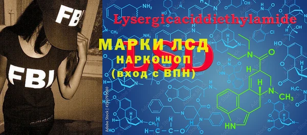 ECSTASY Гусь-Хрустальный