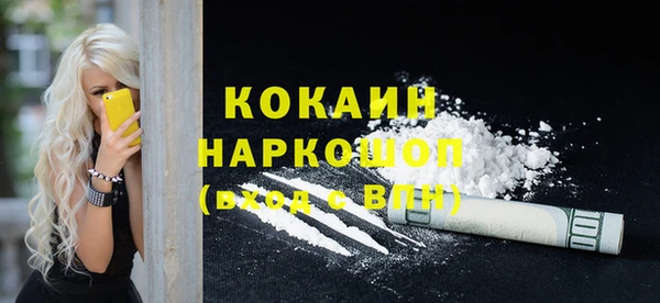ECSTASY Гусь-Хрустальный